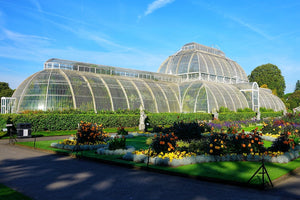 Royal Botanic Gardens, Kew - kidelp