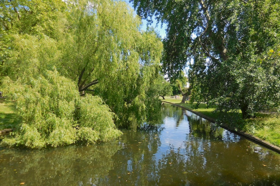 Regent's Park - kidelp