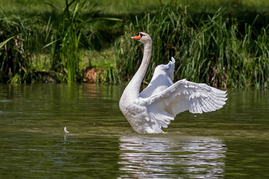 Walthamstow Wetlands - kidelp